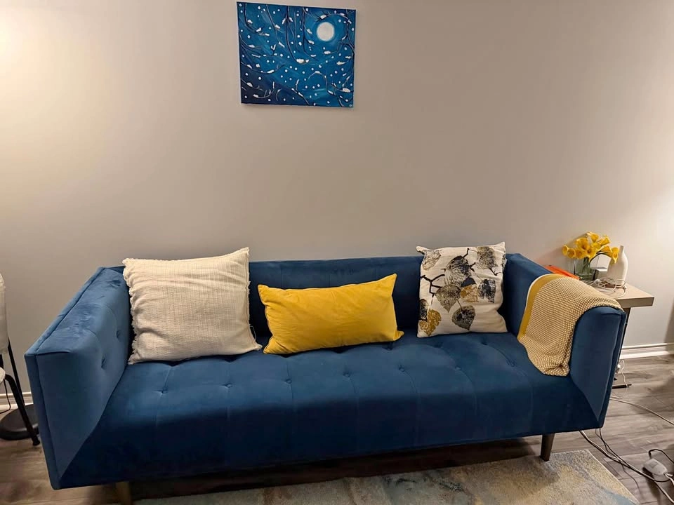 Beautiful New Structube Sofa