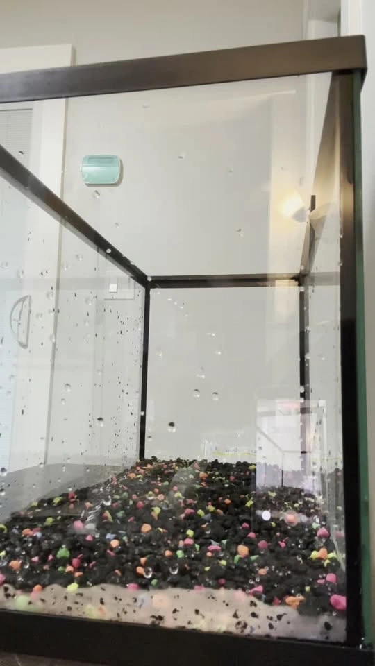 10 Gallon Aquarium with LED Lights, Filter, Decor - photo 2
