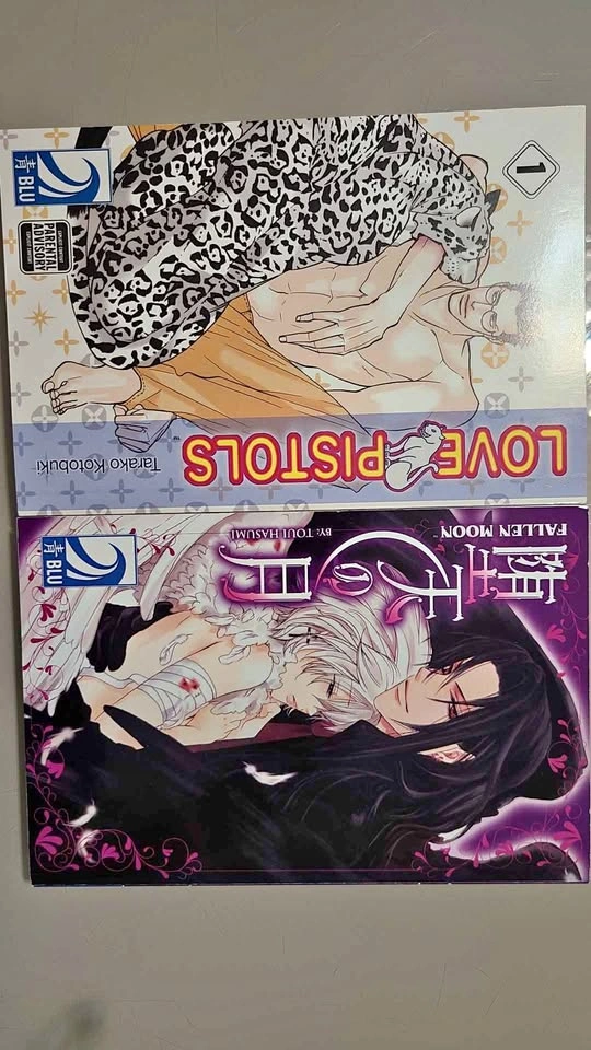 Yaoi manga books