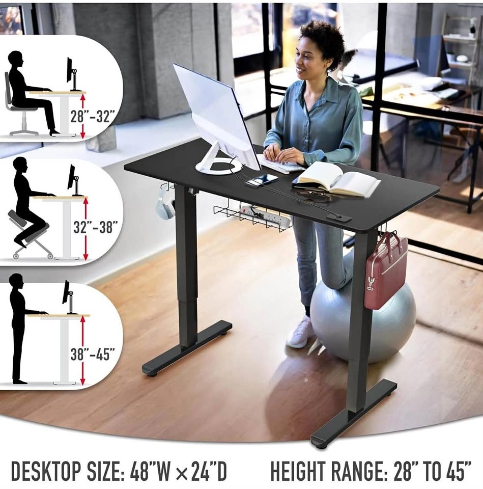 48" x 24" Electric Standing Desk