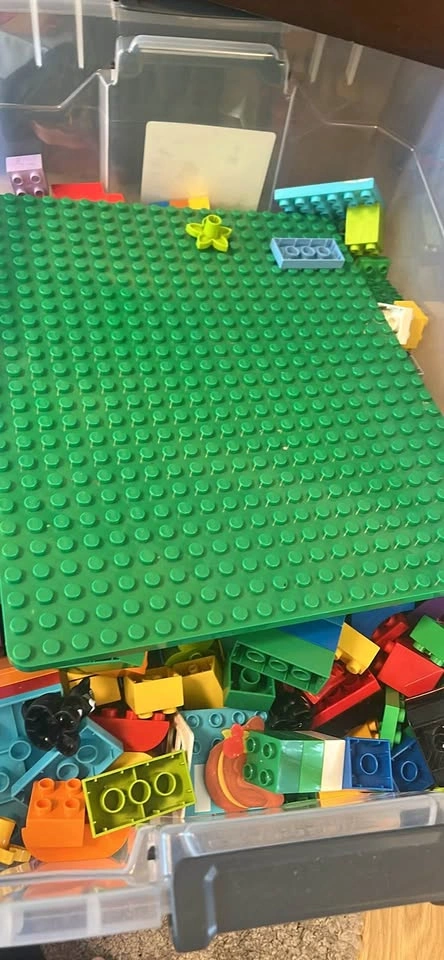 LEGO Duplo Bulk Lot with Baseplate