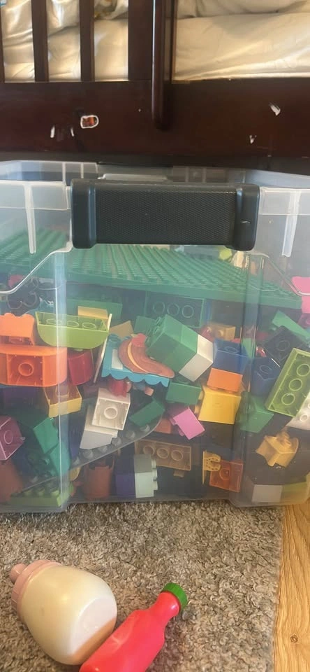 LEGO Duplo Bulk Lot with Baseplate - photo 3