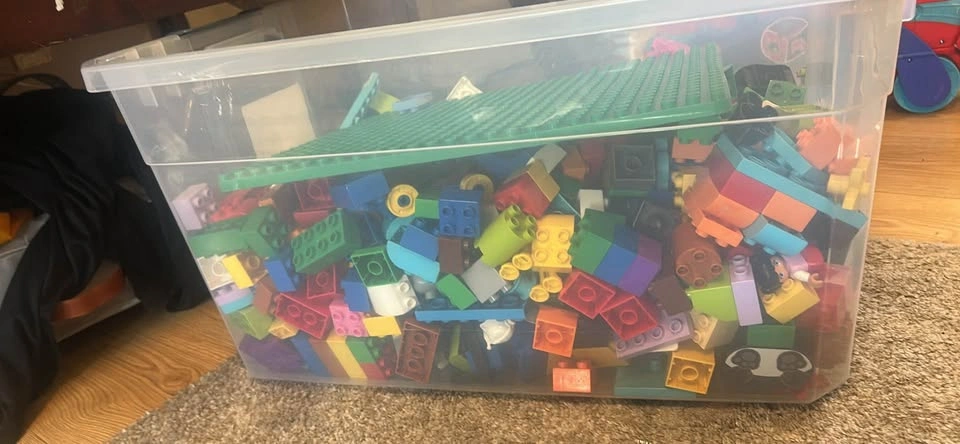 LEGO Duplo Bulk Lot with Baseplate - photo 4