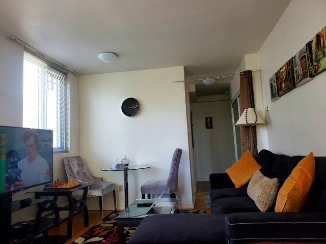 Looking for a Roommate - female preferred - photo 5