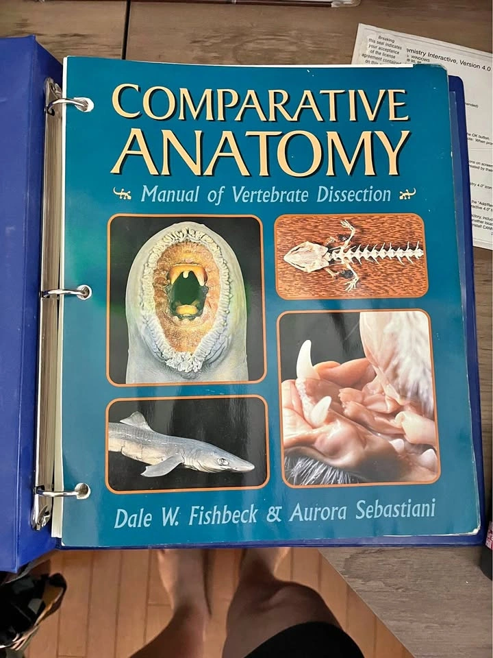 Comparative anatomy dissection manual