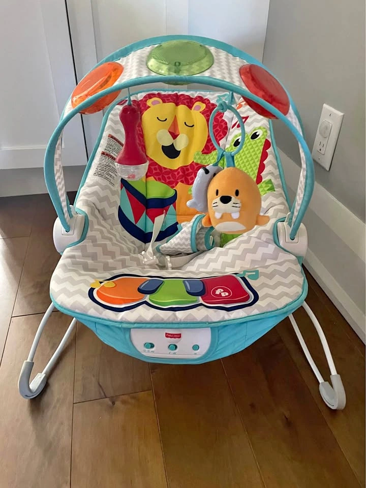 Fisher-Price Baby Bouncer