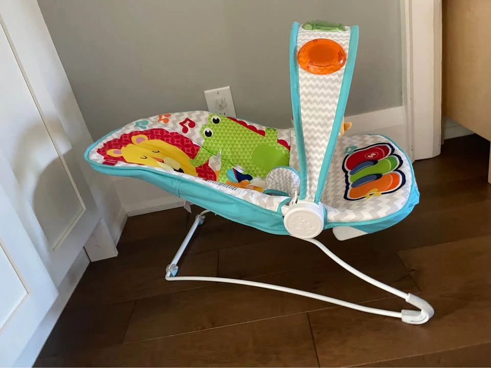Fisher-Price Baby Bouncer - photo 2