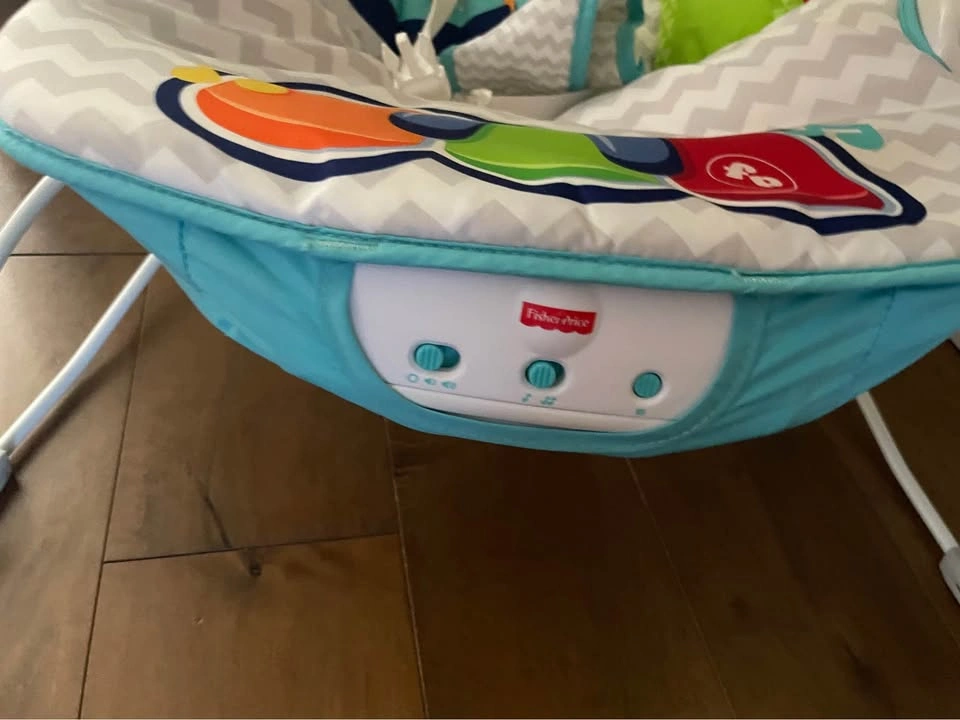 Fisher-Price Baby Bouncer - photo 3