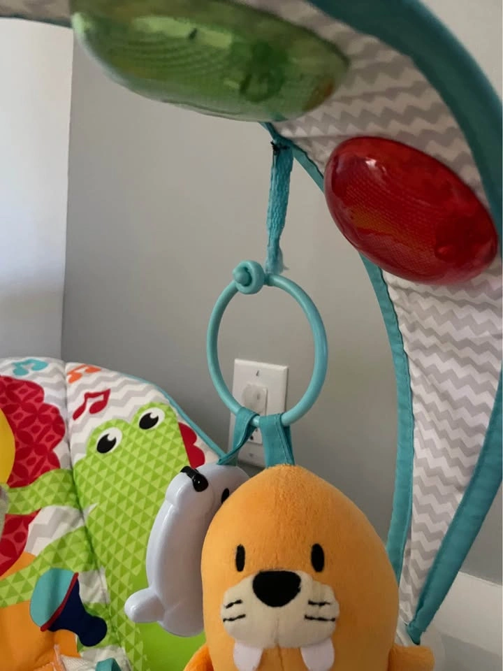 Fisher-Price Baby Bouncer - photo 4
