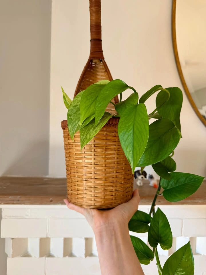 Vintage Wicker Rattan Wall Planter Basket | Boho Hanging Plant H - photo 3