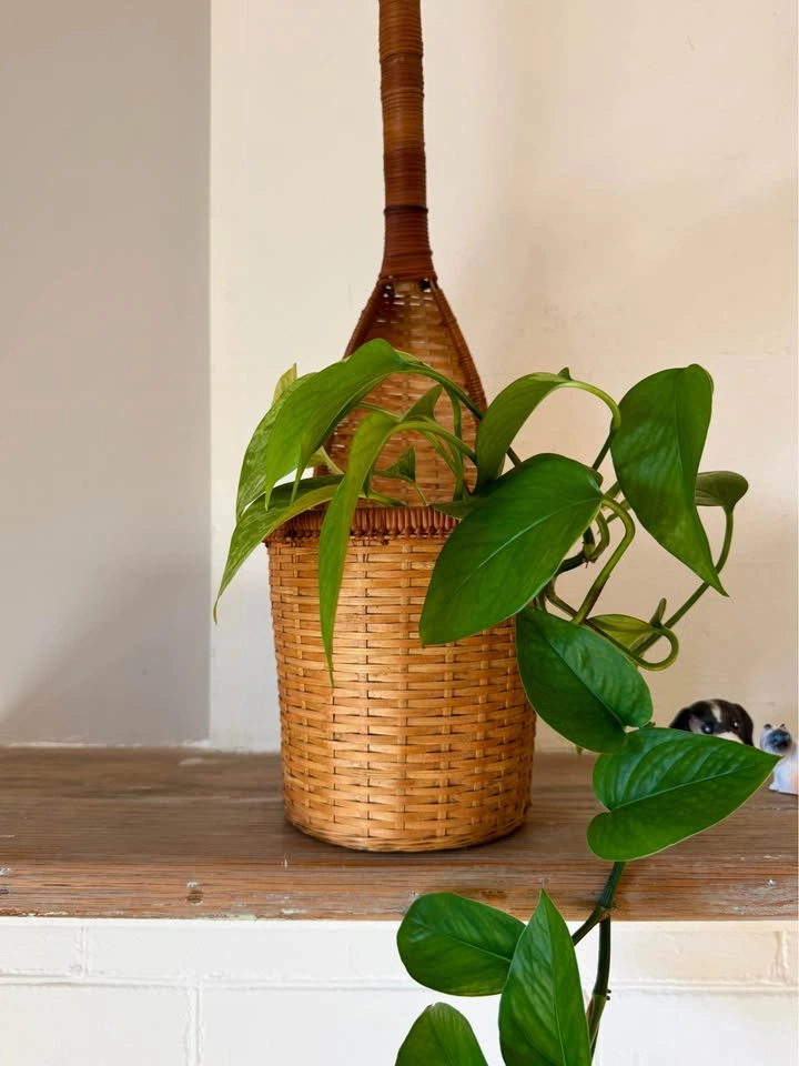 Vintage Wicker Rattan Wall Planter Basket | Boho Hanging Plant H - photo 5
