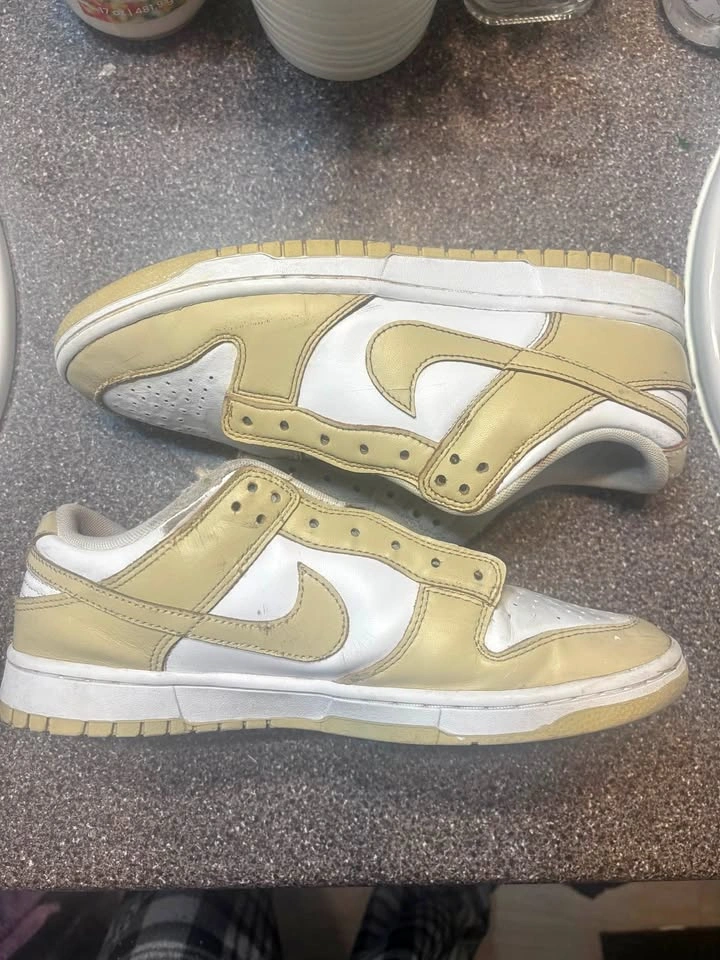 Nike Dunk Low Shoes