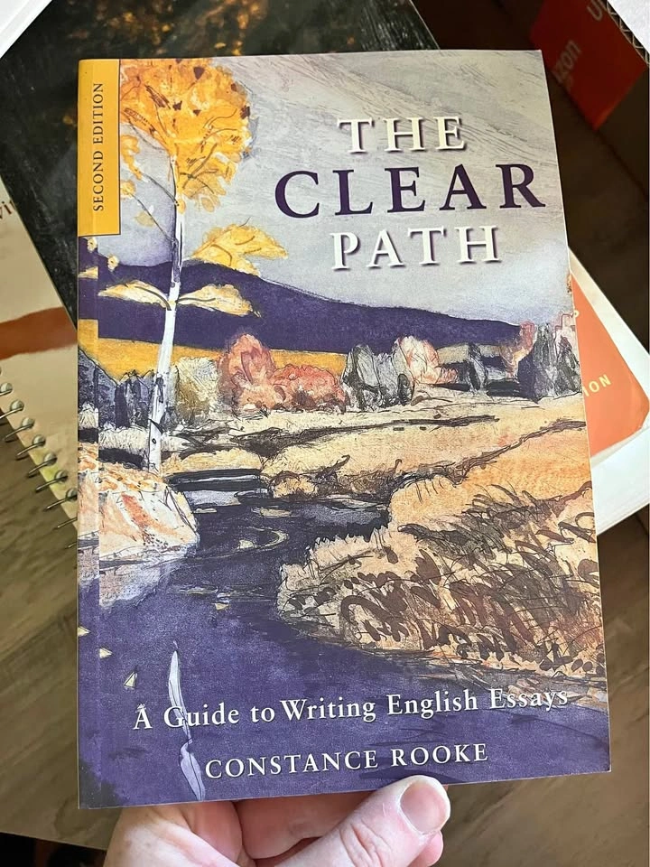 English essay writing guide