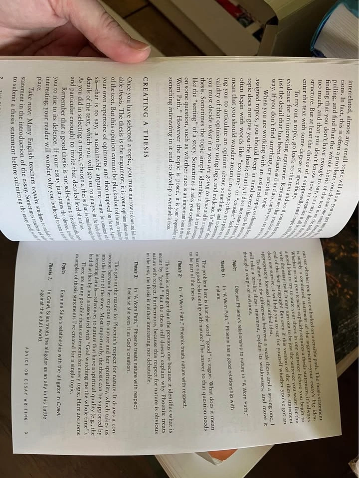 English essay writing guide - photo 2