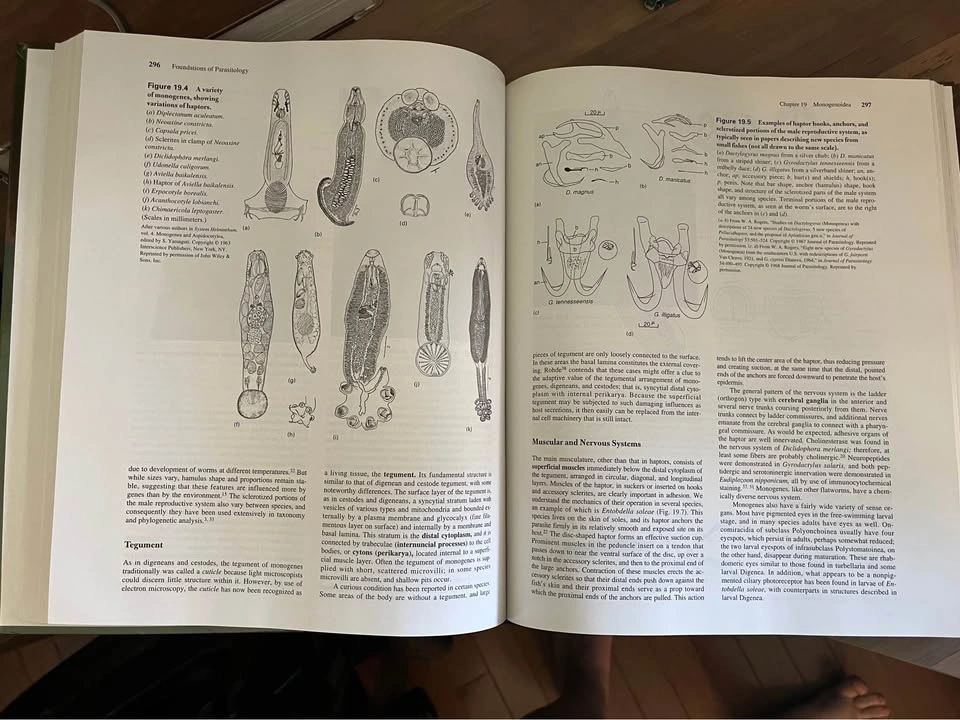 Parasitology textbook - photo 2