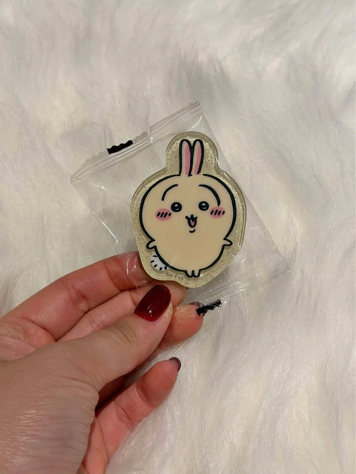 Usagi Magnet