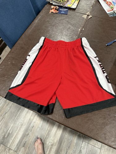 Chicago Bulls Zach LaVine #8 NBA Basketball Shorts Size S - photo 2