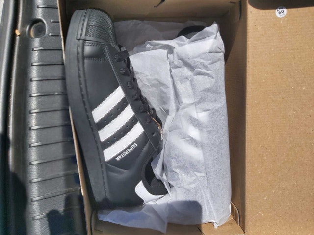 Adidas shell toe superstar