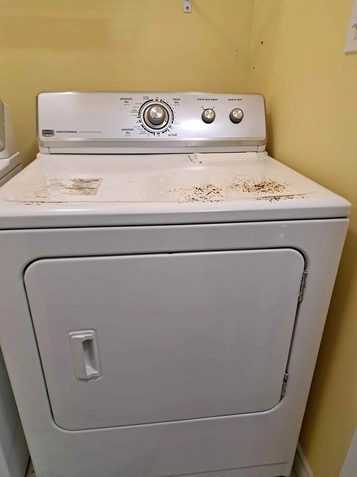 Maytag dryer Good working condition $100 OBO