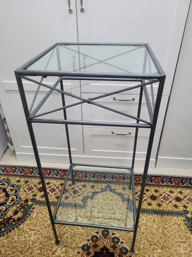Iron and Glass Plant/Display Stand