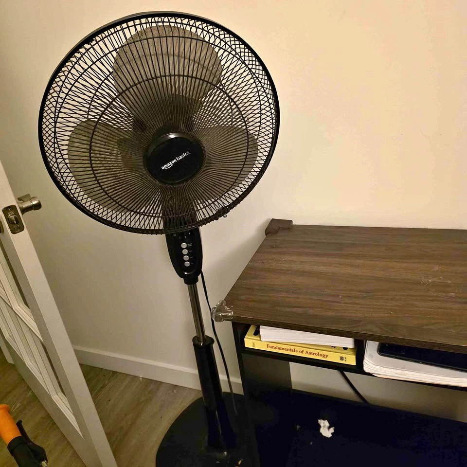 Amazon Basics Pedestal Fan