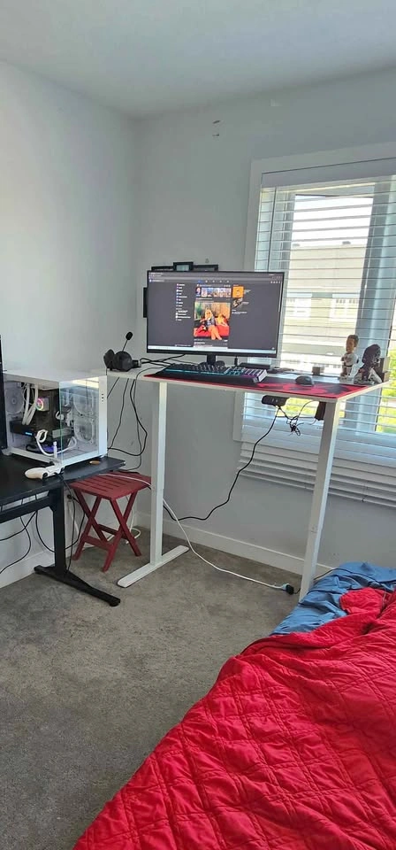 Standing Adjustable Electric Office Desk