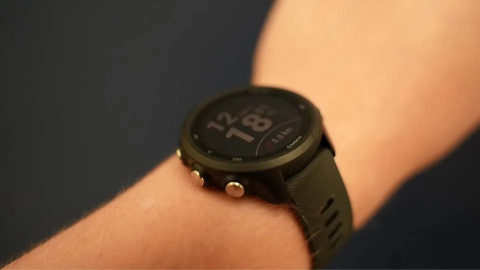 Garmin 245 Forerunner Music + HR Monitor image indicator(2)