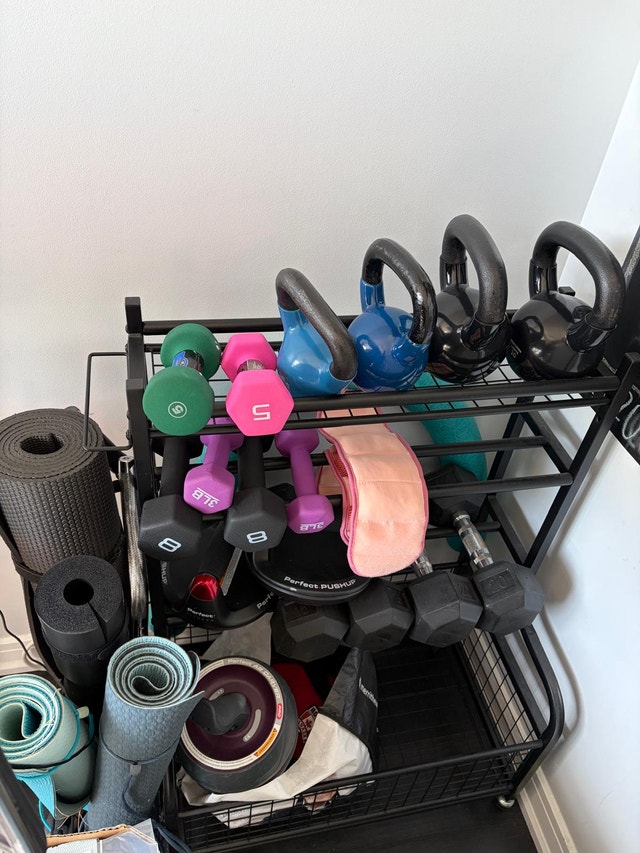 Home gym rack and dumbbells