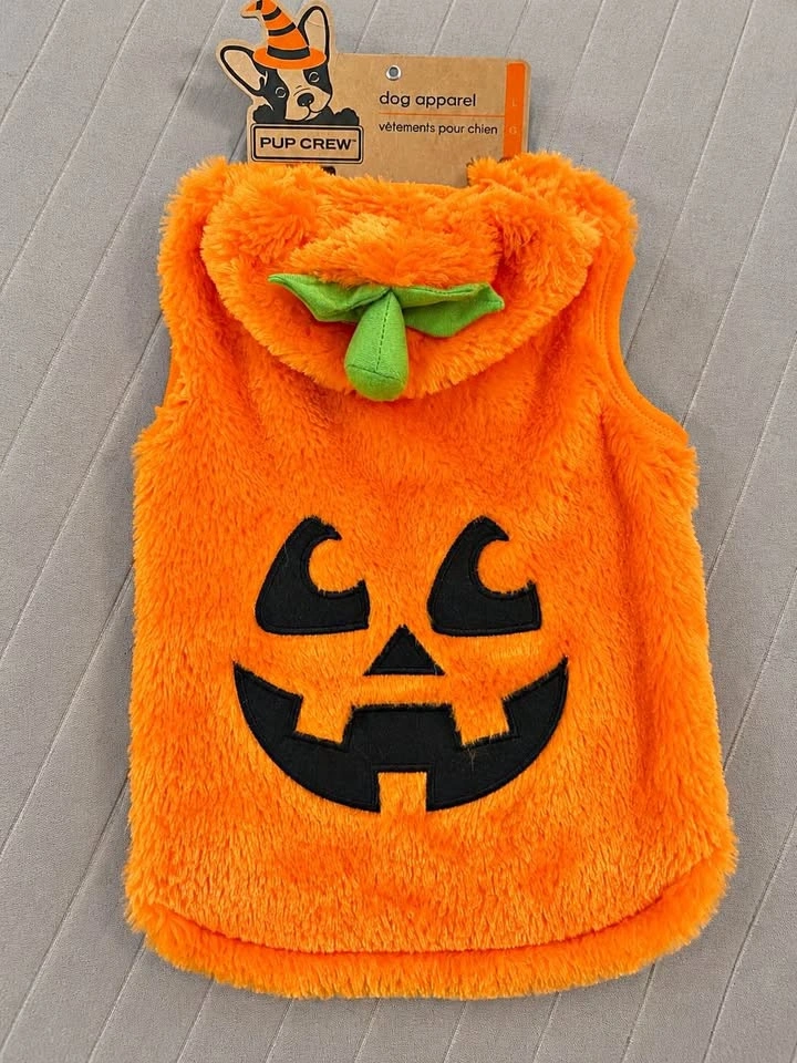 Dog Halloween costume (L size)