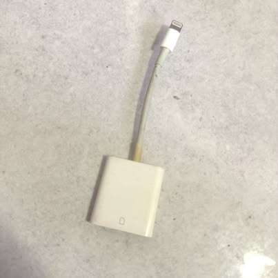 Apple Lightning to 30-Pin Dock Connector Adapter