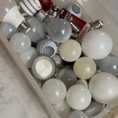Light Bulb Lot – LED, Incandescent, CFL