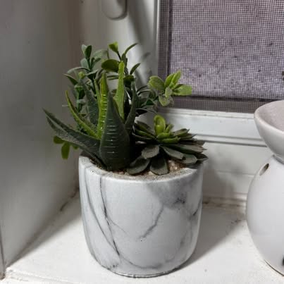 Home Decor Bundle — Planters & Vases, 4 pcs