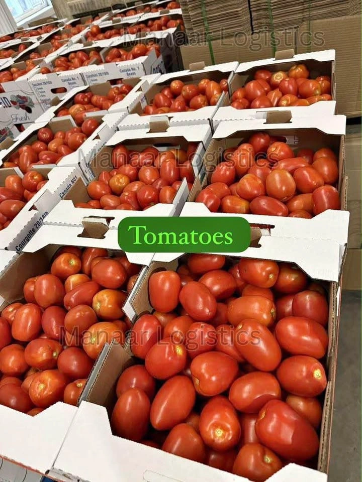 Fresh Tomatoes - 25lb Box