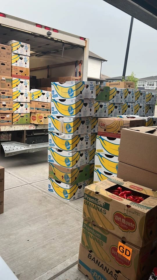 Fresh Tomatoes - 25lb Box - photo 4