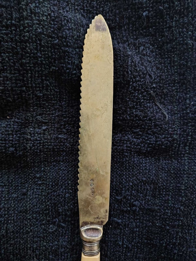 Vintage EPNS Cake Knife - photo 4