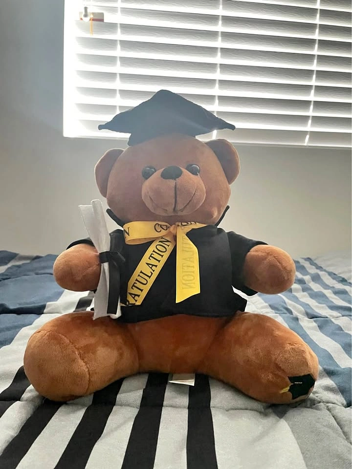 Teddy Bear Graduation Plushie Toy