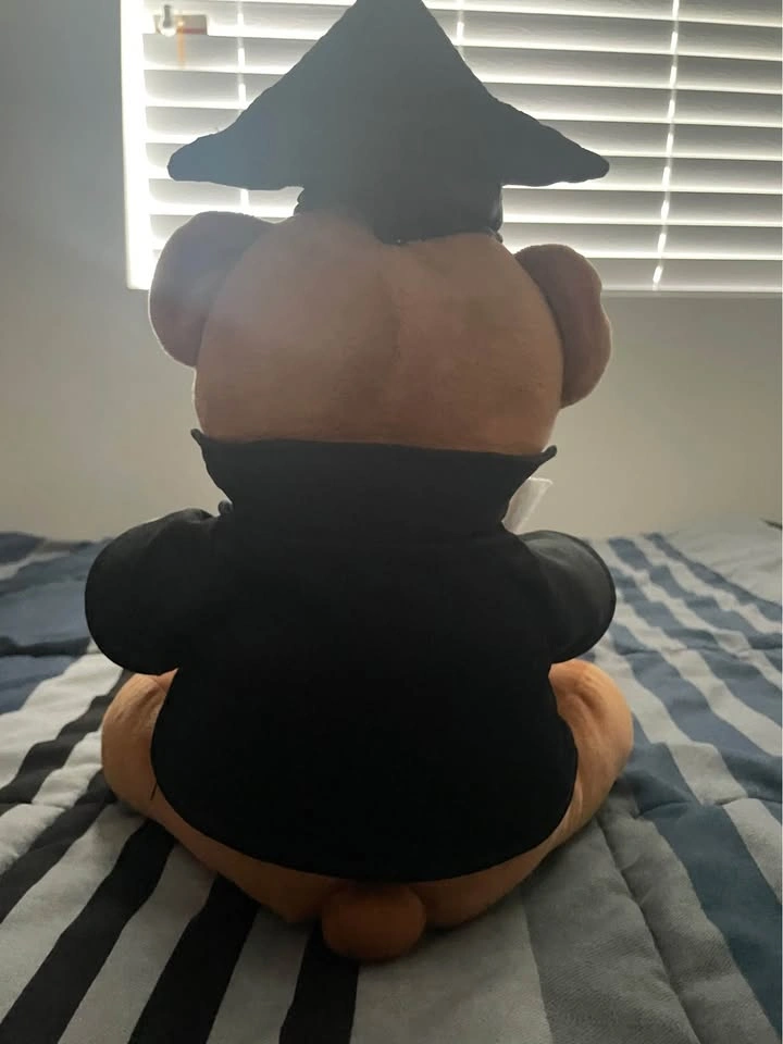 Teddy Bear Graduation Plushie Toy - photo 3