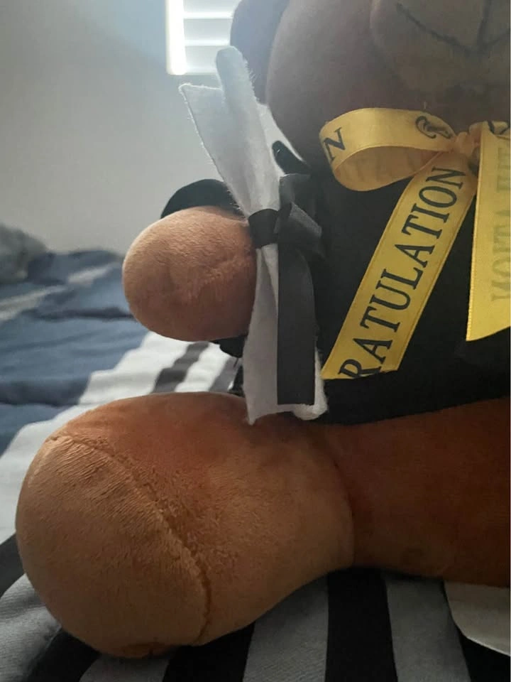 Teddy Bear Graduation Plushie Toy - photo 4