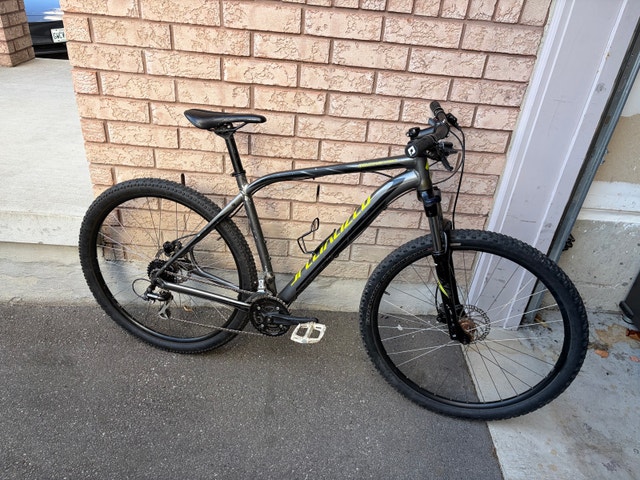 Specialized Rockhopper 29 XL Bike