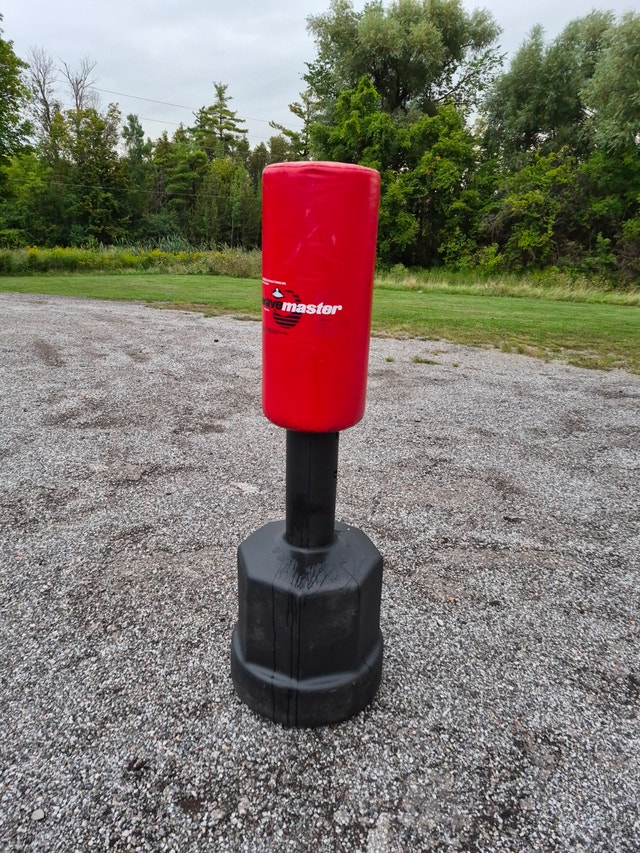 Punching bag wave master century USA water base