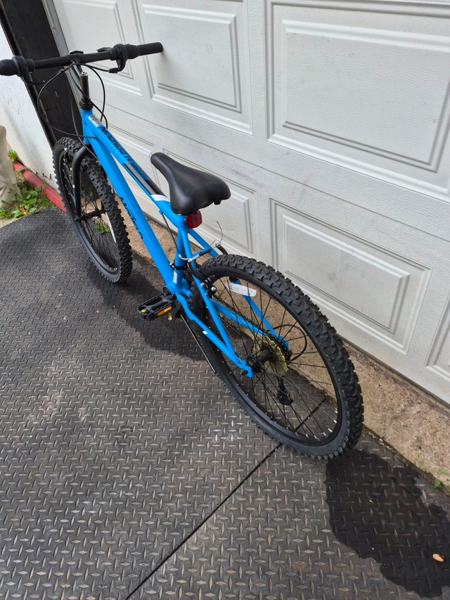 24'' Blue Movelo Mountain Bike - photo 3