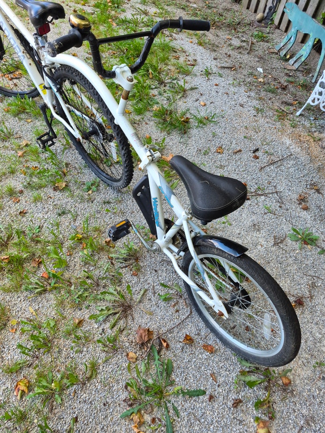 2 person tandem co-pilot Weeride white bicycle + SPARE - photo 2