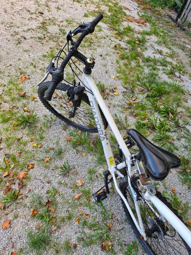 2 person tandem co-pilot Weeride white bicycle + SPARE - photo 5