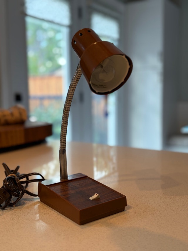 MCM Gooseneck Lamp