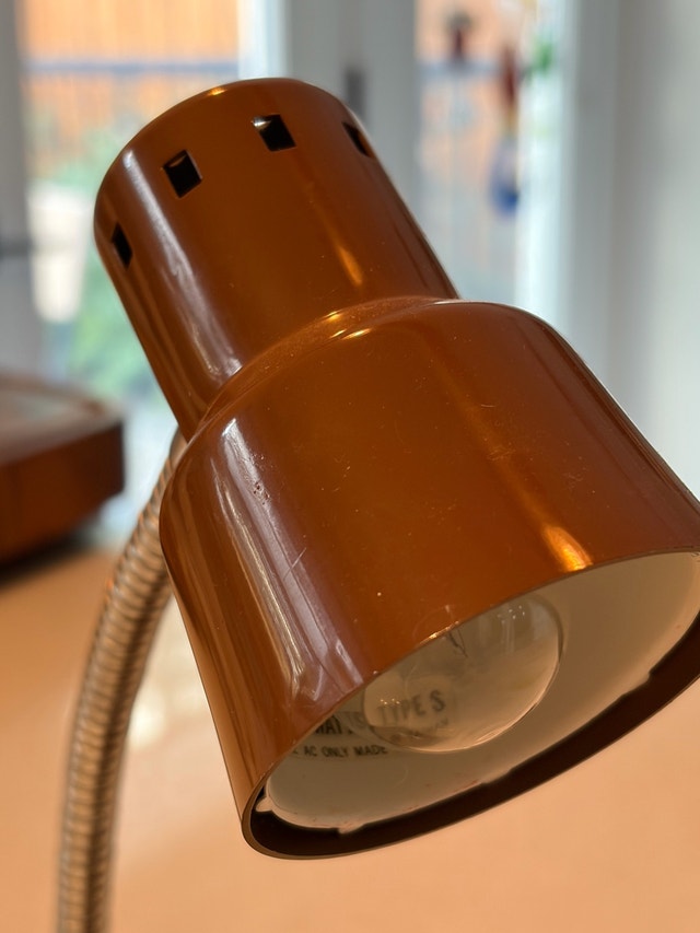 MCM Gooseneck Lamp - photo 3