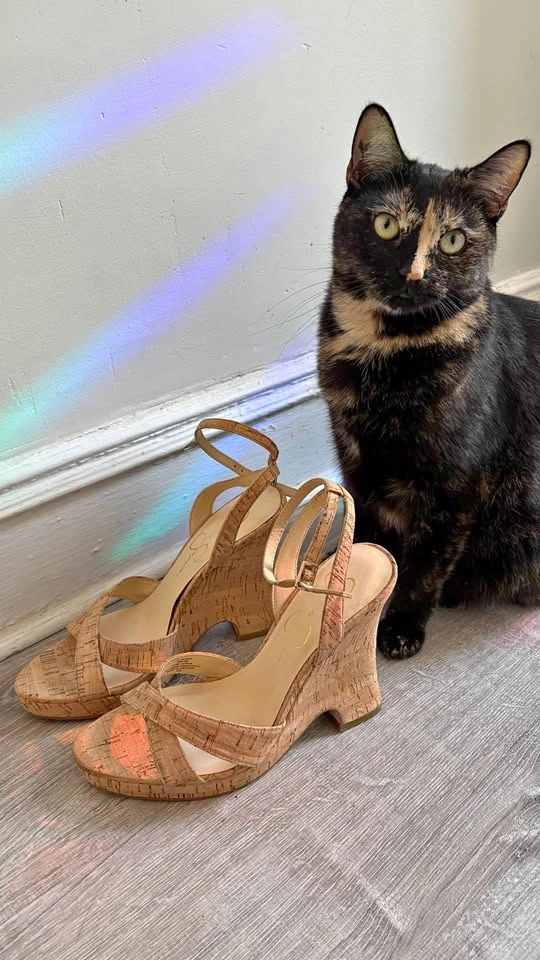 Jessica Simpson (8.5) wedge heels
