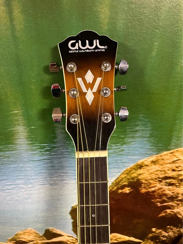 George Washburn Limited GWLAGPAKTSB Acoustic Guitar - photo 5