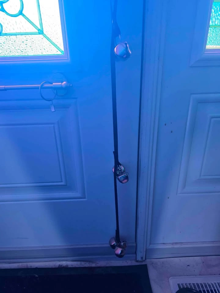 Dog training bells