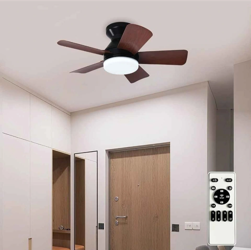 25-Inch Ceiling Fan with Light and Remote Control - photo 2
