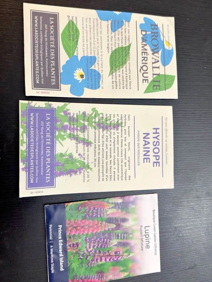 Browallia, Hyssop, and Lupine Seed Packets